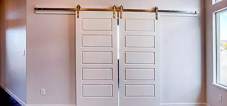 Glass Barn Door with Installation Hardware Kit Revere